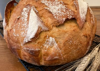 Brot im emaillierten gusseisernen Topf von Pampered Chef